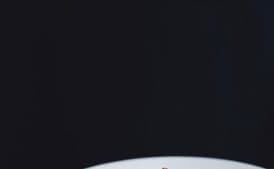 Apple and Smoked-Bacon Salad with Lychees and Chili Nuts