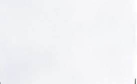 Aromatic Braised Chicken with Fried Onions