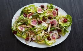 Bibb Lettuce, Chicken, and Cherry Salad With Creamy Horseradish Dressing