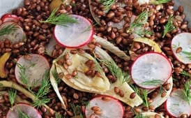 Black Barley, Fennel, and Radish Salad
