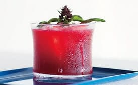 Blackberry-Gin Fizz
