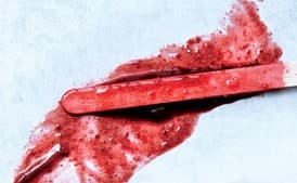 Blackberry-Tarragon Paletas