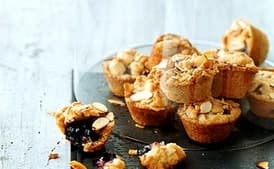 Blueberry Lemon Crumbles