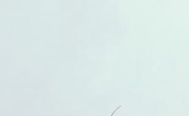 Boiled Lobster Dinner with Sesame Mayonnaise