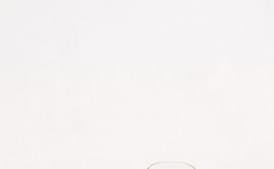 Bouillabaisse, Simplified