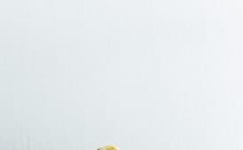 Broccoli with Orecchiette