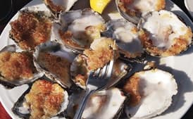 Broiled Oysters with Garlic Breadcrumbs