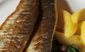 Brook Trout Müllerin