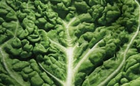 Cabbage and White Bean Soup with Sausage