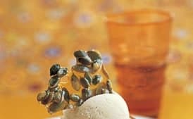 Camote Tartes Tatins with Pumpkin-Seed Brittle