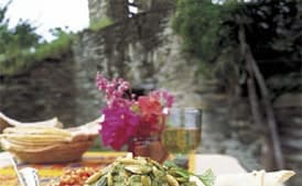 Chicken in Green Pumpkin-Seed Sauce