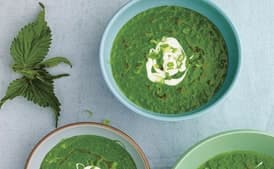 Chilled Watercress, Spring Nettle, And Sorrel Soup