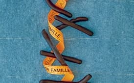 Chocolate-Dipped Orange Peel