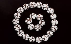 Chocolate Hazelnut Crinkle Cookies