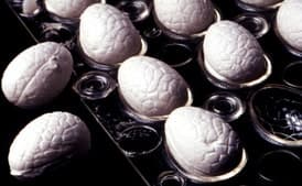 Chocolate Marshmallow Eggs