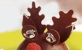 Chocolate Moose