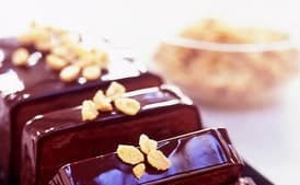 Chocolate-Peanut Butter Terrine with Sugared Peanuts