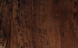 Citrus Salad with Mint Sugar