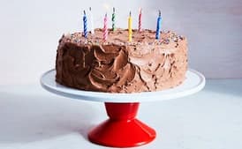 Classic Yellow Cake with Chocolate Frosting