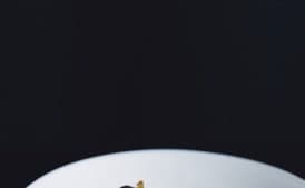 Clay-Pot Miso Chicken