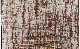 Coconut Oatmeal Lace Cookies