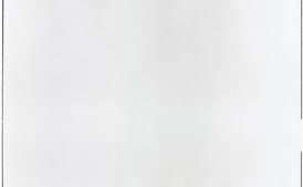 Colombian Avocado Salsa