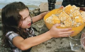 Corn on the Cob with Mint-Feta Butter