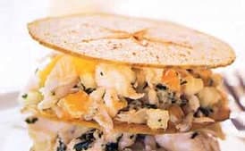 Crabmeat, Apple, and Mango Salad on Cumin Apple Chips