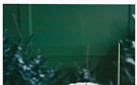 Cranberry Vanilla Coffeecake