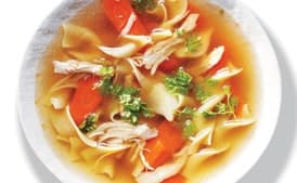 Double-Dark Chicken Noodle Soup