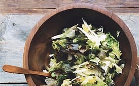 Escarole, Fennel, and Oak-Leaf Salad