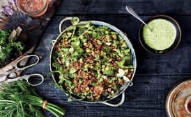 Farmers Market Quinoa Salad