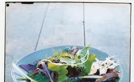 Farmers Market Salad with Aged Gouda and Roasted Portabellas