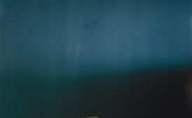 Foie Gras Toasts with Sauternes Geleé