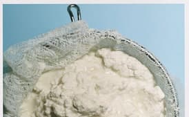 Fresh Ricotta Cheese