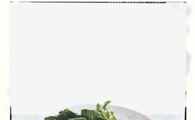 Fried Mozzerella with Arugula and Prosciutto