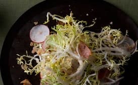 Frisée and Radish Salad with Hazelnut Dressing