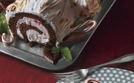 Frozen Chocolate-Peppermint Bùche de Noël
