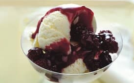 Frozen Meyer Lemon Cream with Blackberry Sauce