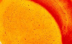 Garlic and Achiote Fermented Hot Sauce