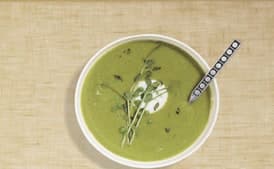Green Pea Soup with Tarragon and Pea Sprouts