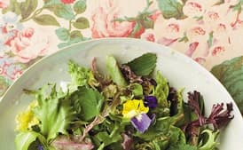 Greens of the Wilderness Salad