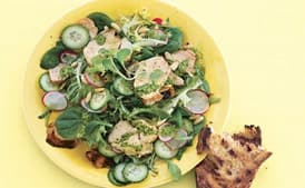 Grilled Chicken Salad with Radishes, Cucumbers, and Tarragon Pesto