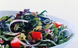 Grilled Chicken with Shredded Mesclun Salad