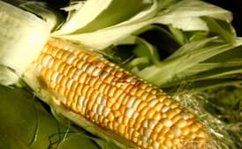 Grilled Corn with Lime-Cilantro Butter
