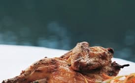 Grilled Cornish Hens with Coconut Curry Sauce