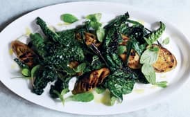 Grilled Eggplant and Greens with Spiced Yogurt