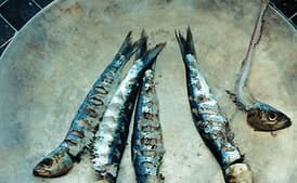 Grilled Fresh Sardines with Fennel and Preserved Lemon