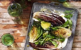Grilled Lettuces with Crème Fraîche and Avocado