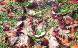 Grilled Lobster Paella